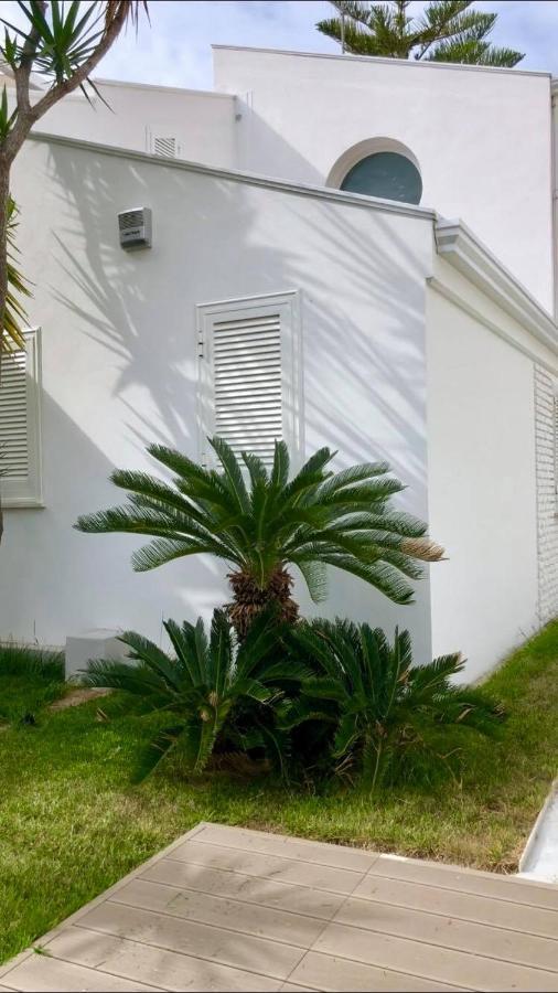 B&B Gassa D'Amante Vieste Eksteriør billede